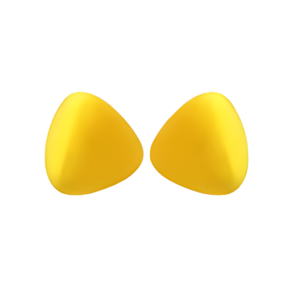 Stilte Oordopjes